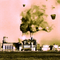 The Real Flower Pots