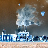 The Real Flower Pots