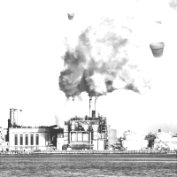 The Real Flower Pots